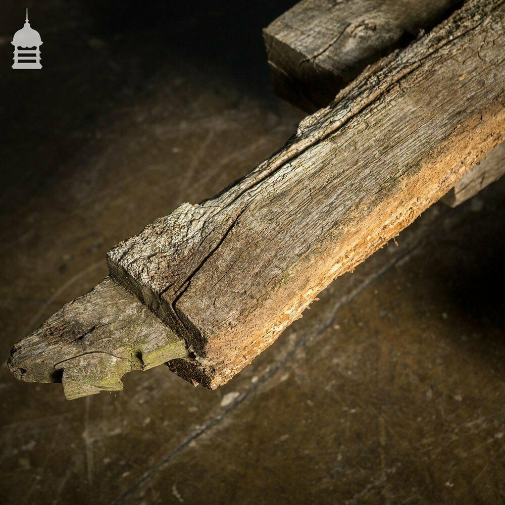 5040.0 Batch Of Original 17th C Oak Ceiling Joists photo