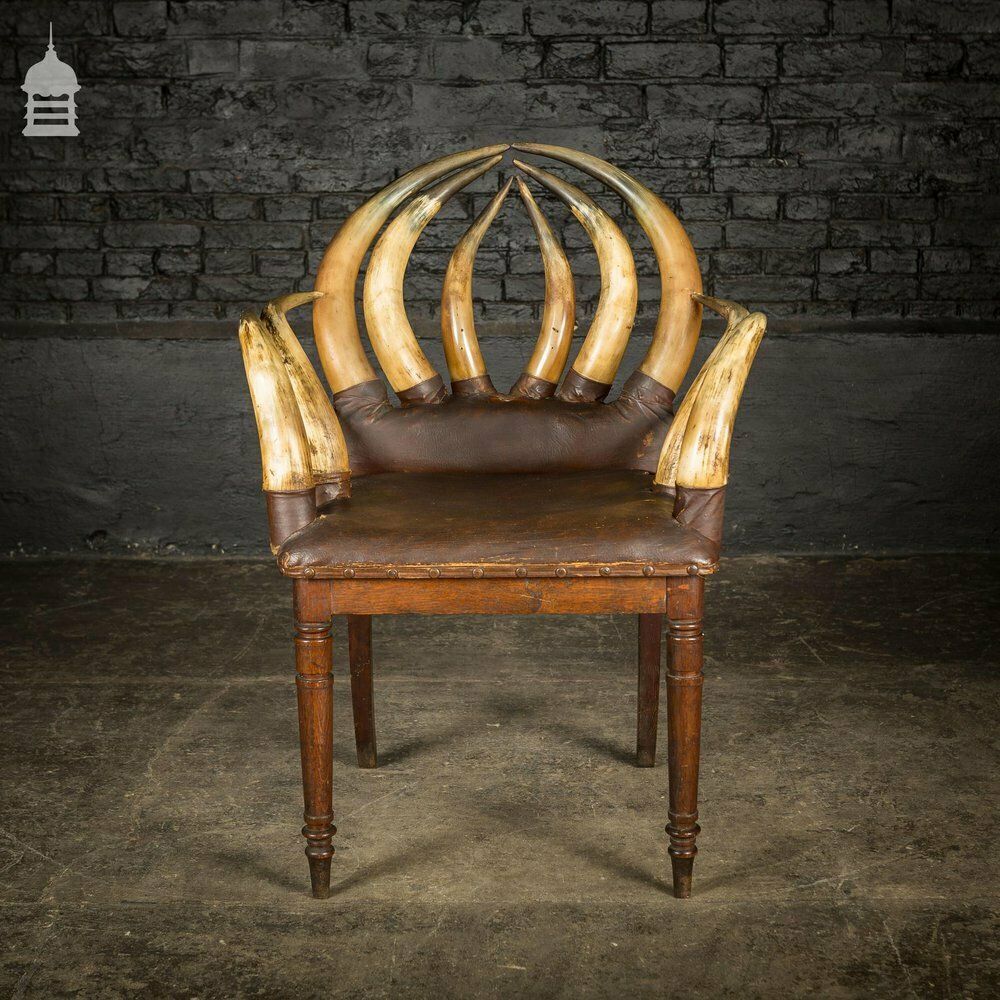 19th C Longhorn Steer Throne Chair With Turned Oak Legs photo Furniture