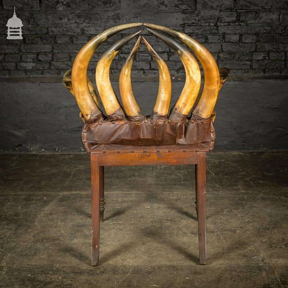 19th C Longhorn Steer Throne Chair With Turned Oak Legs photo buy