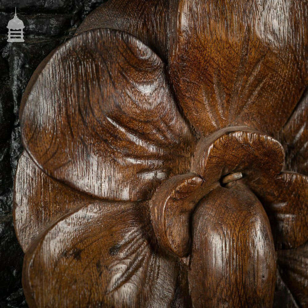 Pair Of Early Oak Floral Petal Carvings photo Art