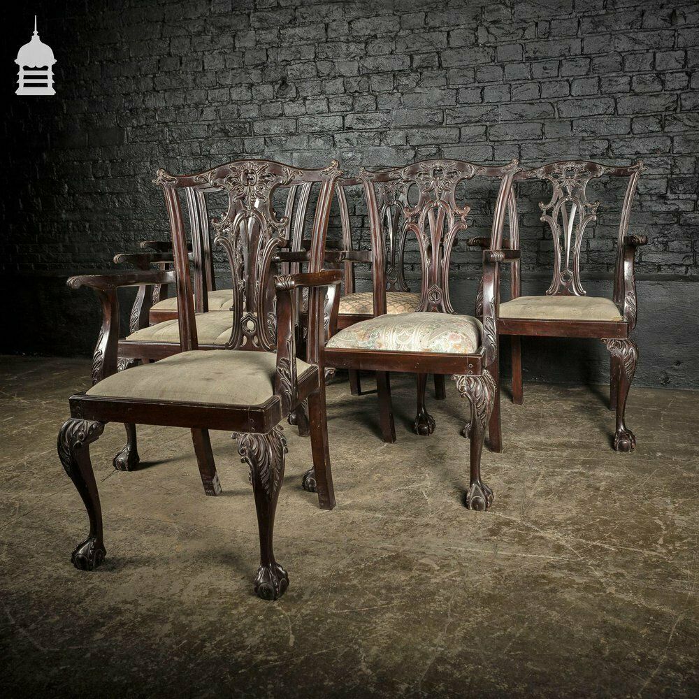 Set Of Six Ornate Chippendale Revival Dining Chairs Armchairs Circa 1900 photo furniture