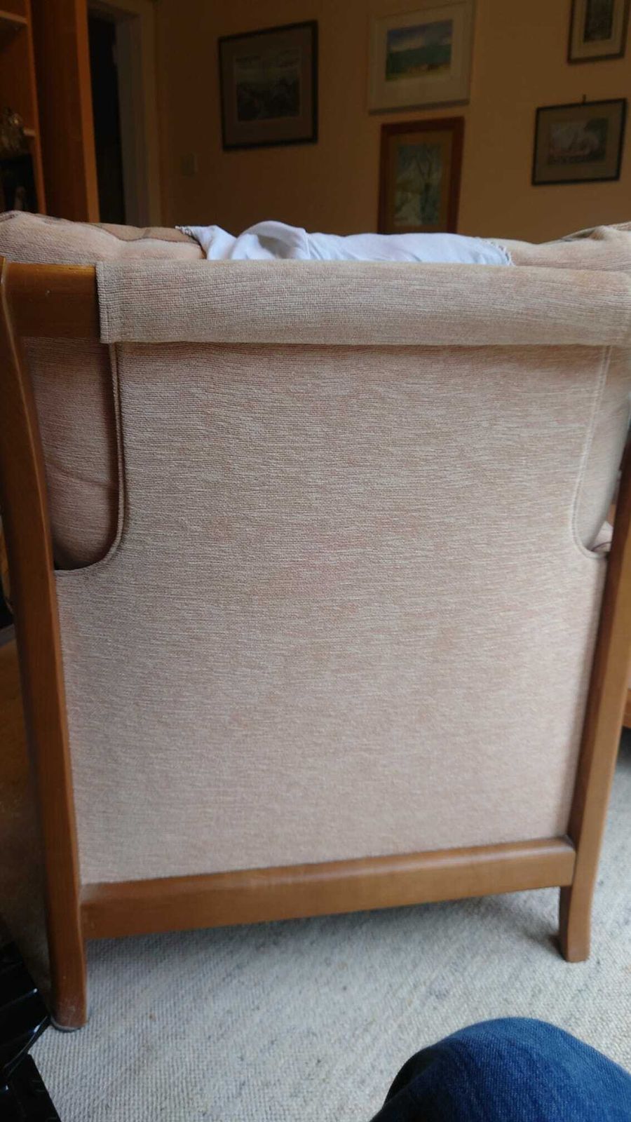Cintique Bentwood With Solid Wood Frame  Mid Century Sofa & Chairs