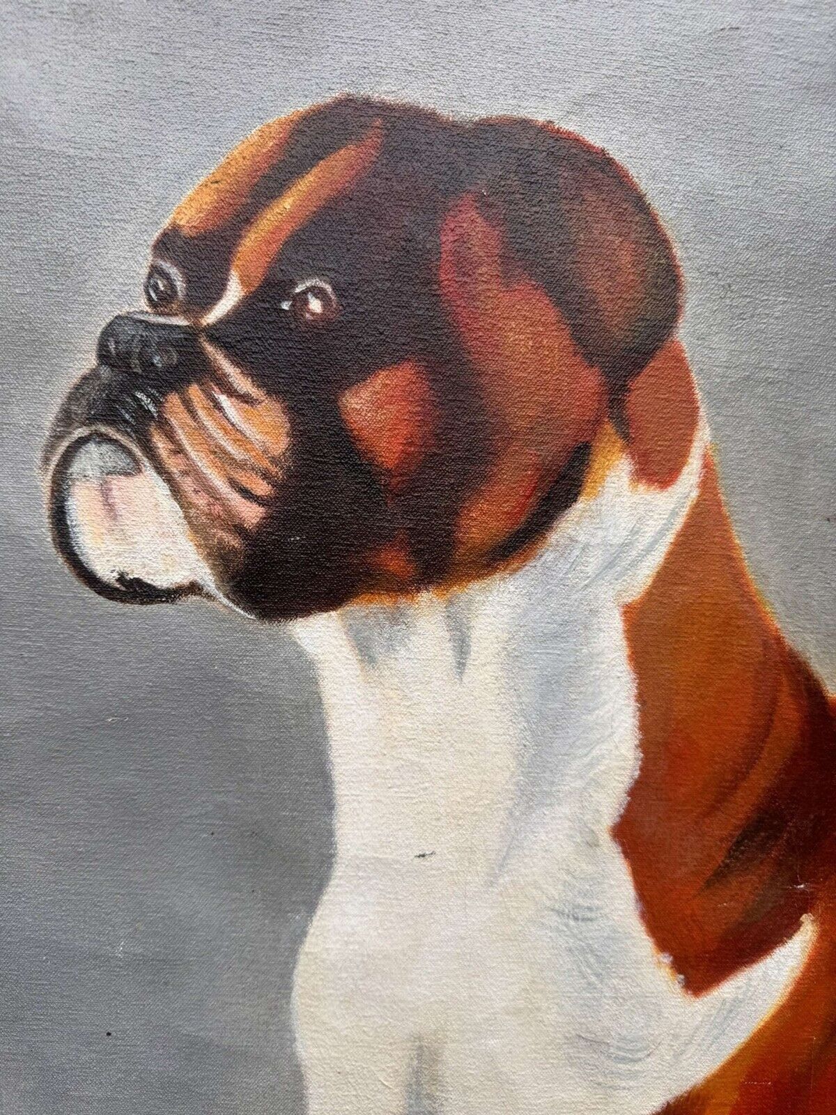 Large Oil Painting Of A Boxer Dog photo Art
