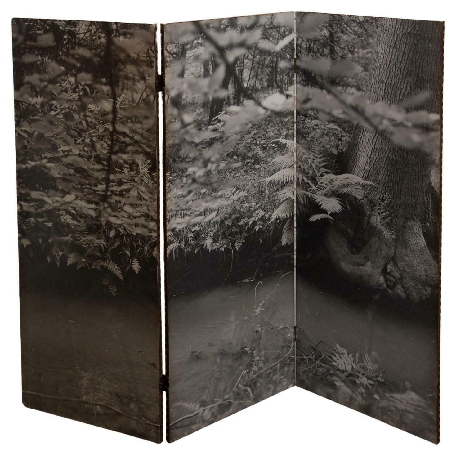 Black And White Forest, Picture Folding Screen, 1960s, Belgium