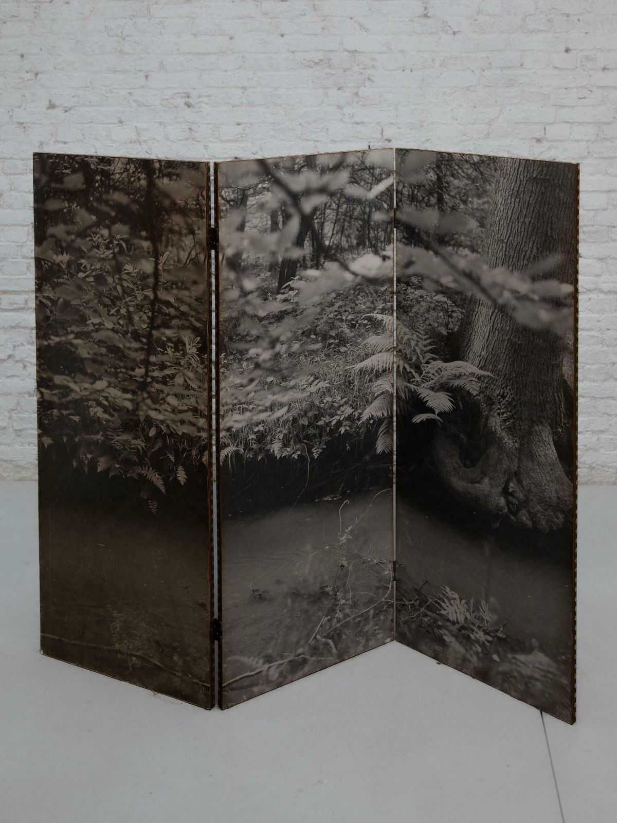 Black And White Forest, Picture Folding Screen, 1960s, Belgium photo for sale