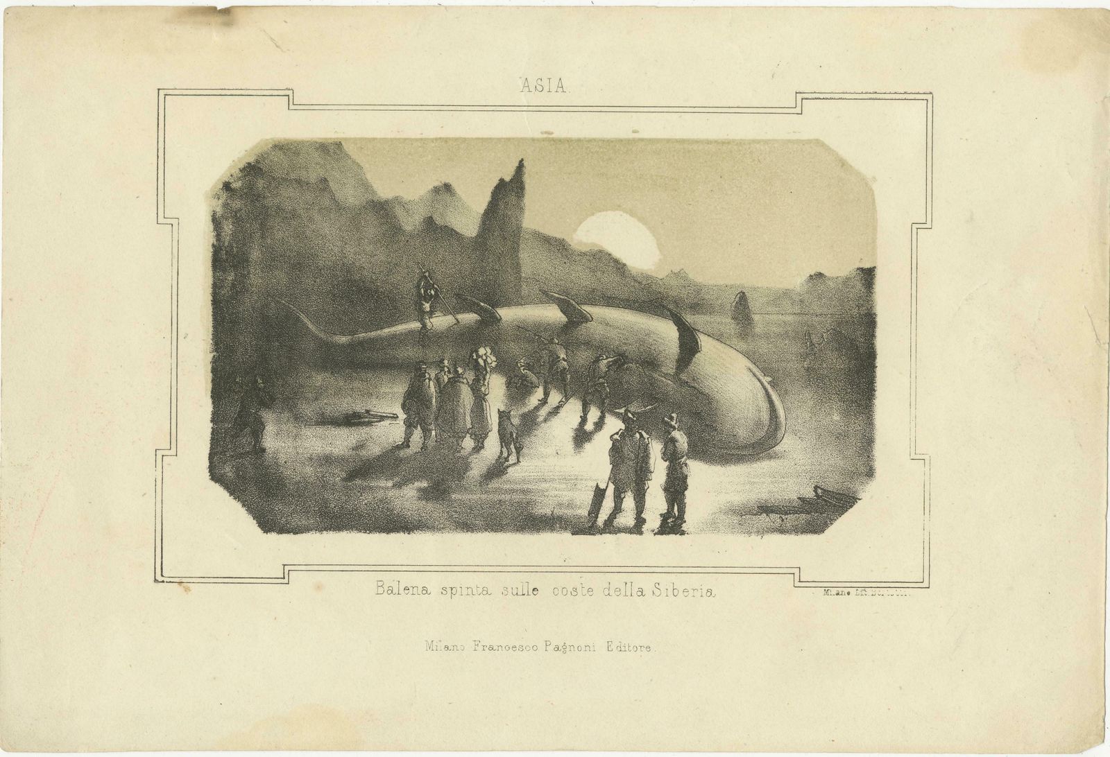 Maritime Wonders: Beached Leviathans Of The 19th Century In Siberia, Circa 1850 photo Art