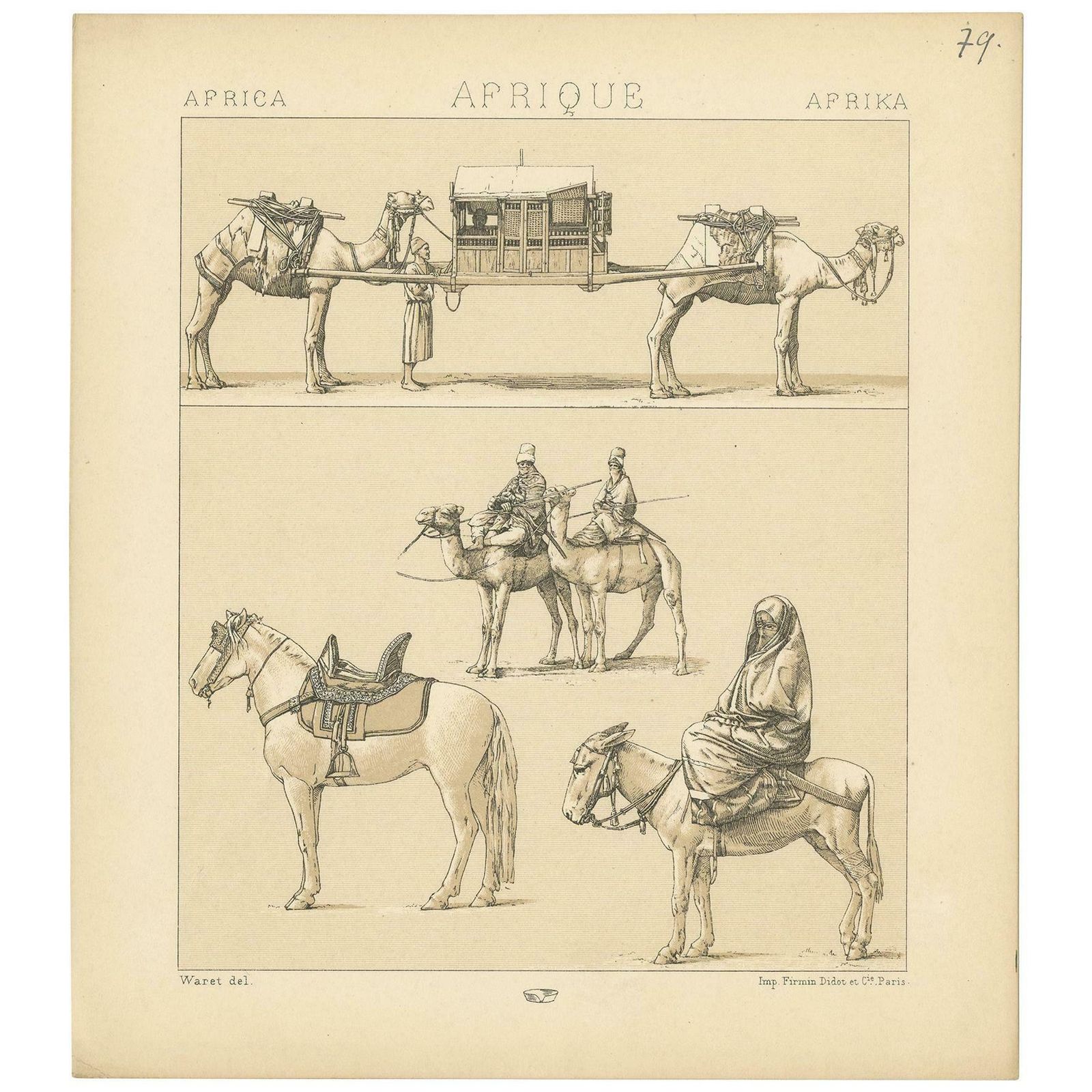 Antique Print Of African Working Animals By Racinet, 'Circa 1880'