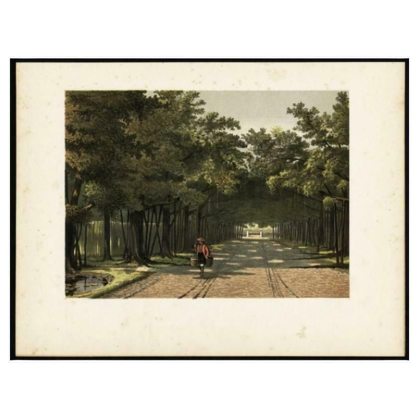 Antique Print Of The Royal Arboretum In Batavia By Perelaer, 1888