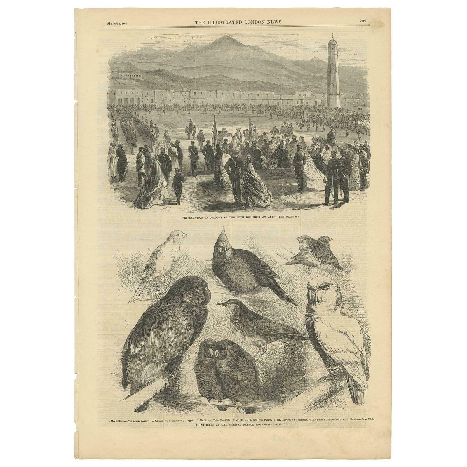 Antique Print Of Prize Birds At The Crystal Palace Show, 1866