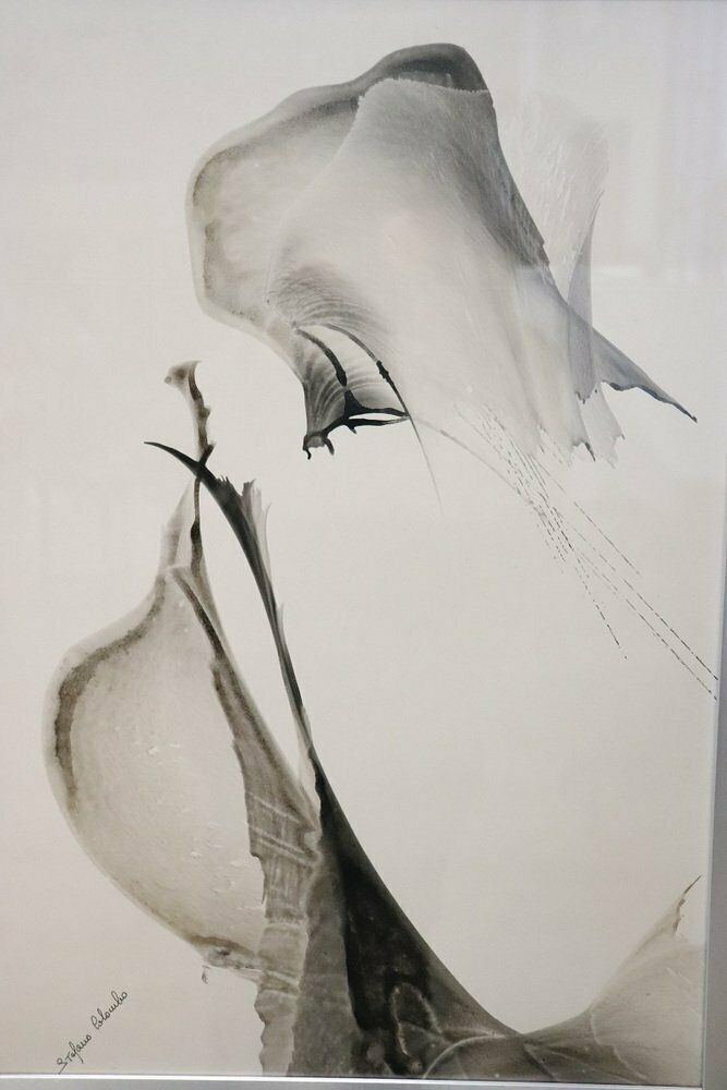 Stefano Colombo, Abstract Compositions, 1970s, Tempera On Paper, With Frame, Set Of 2 photo Art
