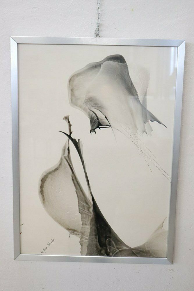 634.0 Stefano Colombo, Abstract Compositions, 1970s, Tempera On Paper, With Frame, Set Of 2 photo