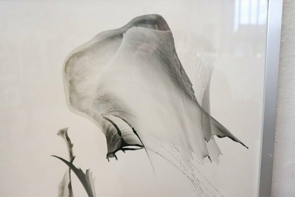 photo vinterior Stefano Colombo, Abstract Compositions, 1970s, Tempera On Paper, With Frame, Set Of 2