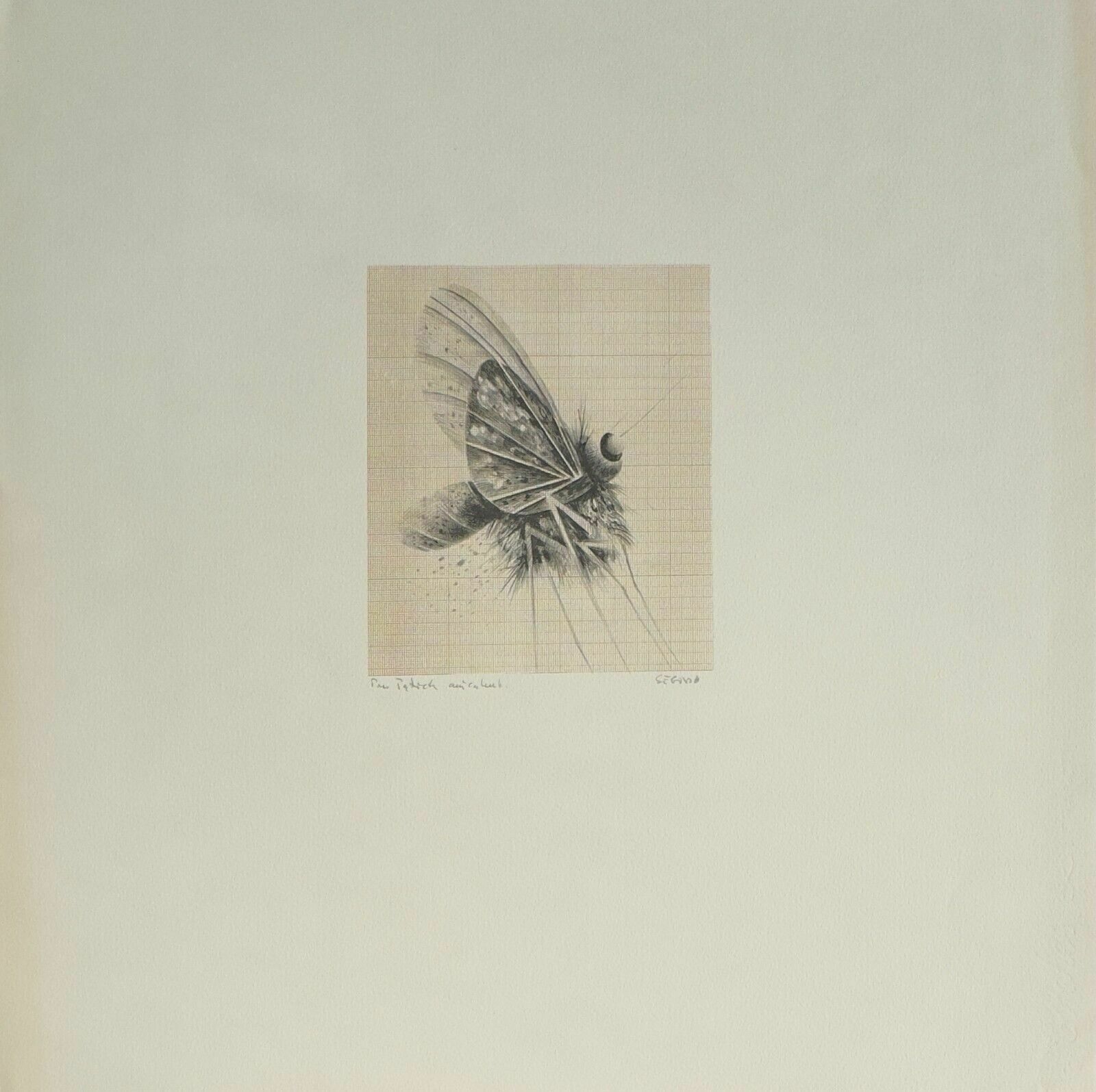 Andres Segovia   Lithograph Signed Litografia Firmada La Mouche Mosca