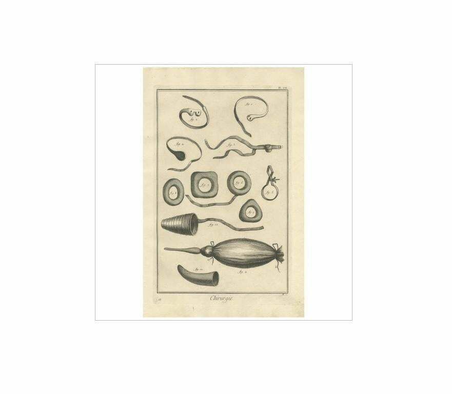 Antique Medical Print 'Pl. VII' By D. Diderot, Circa 1760 photo Art