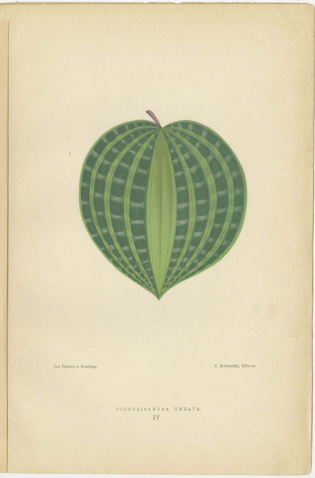 Victorian Elegance: A Trio Of Ornamental Foliage From 1880 Paris photo furniture