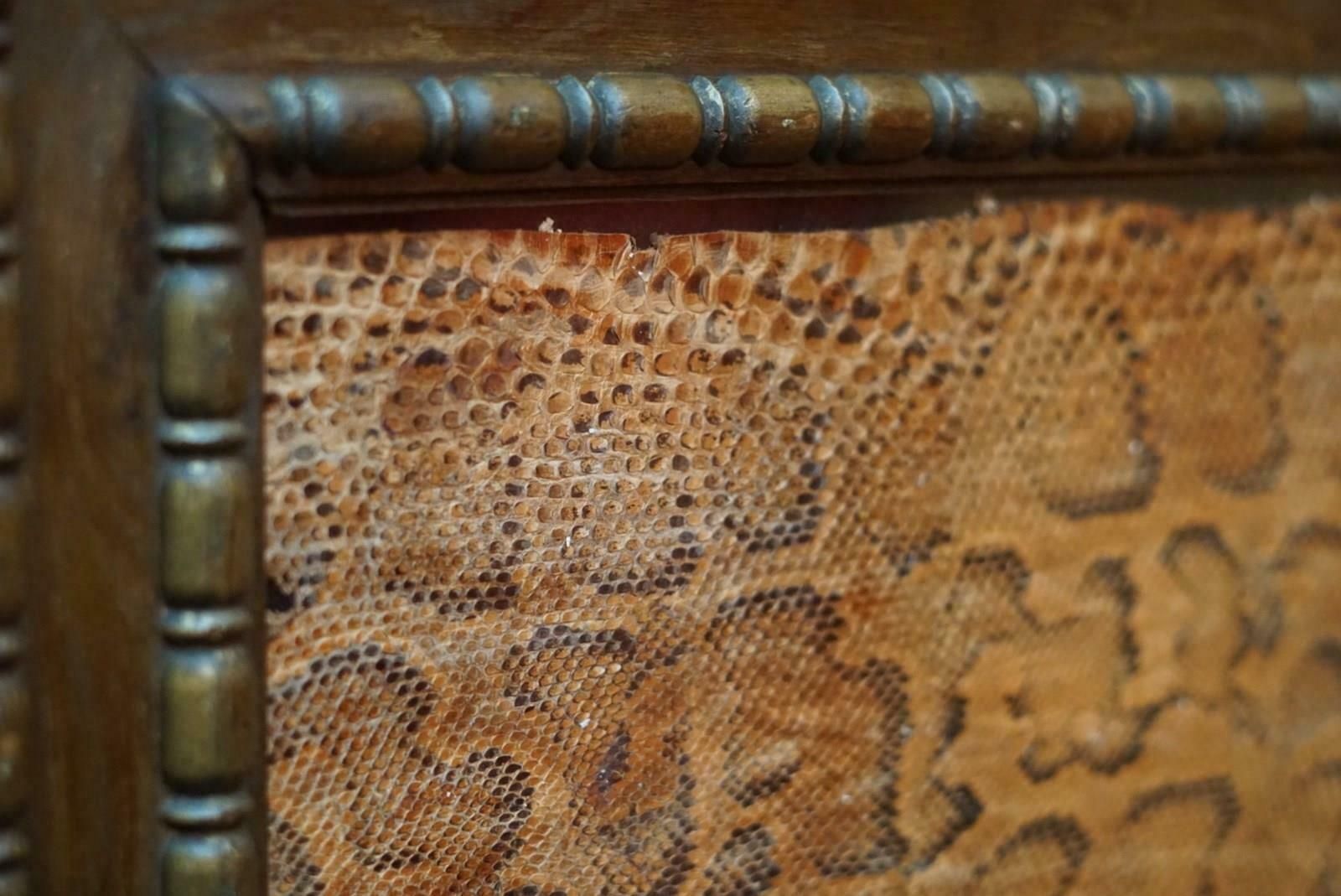 A Framed Section Of Snakeskin, 1856 photo furniture