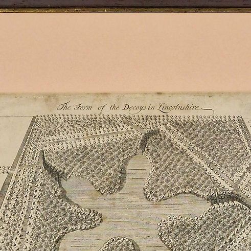 Antique 19th C. Book Plate The Form Of The Decoys In Lincolnshire photo for sale