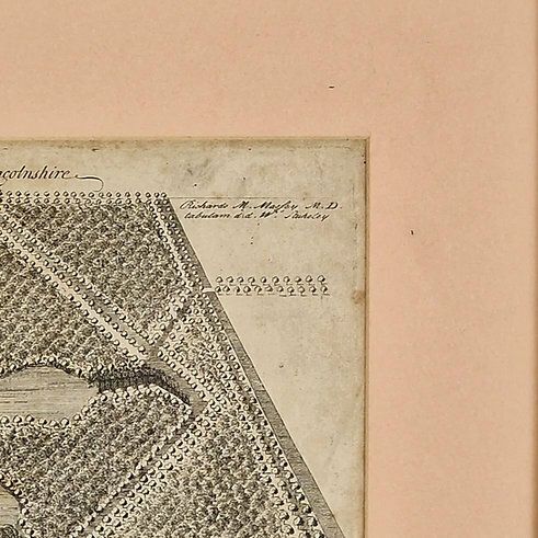 Antique 19th C. Book Plate The Form Of The Decoys In Lincolnshire photo Art