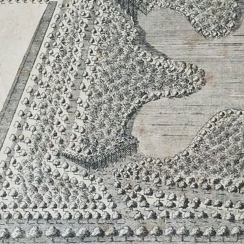 Antique 19th C. Book Plate The Form Of The Decoys In Lincolnshire photo 100.0