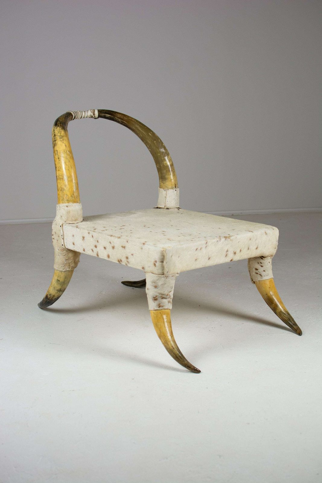 Pair Of Vintage Steer Horn And Hide Side Chairs. Côte D'ivoire, West Africa photo vinterior