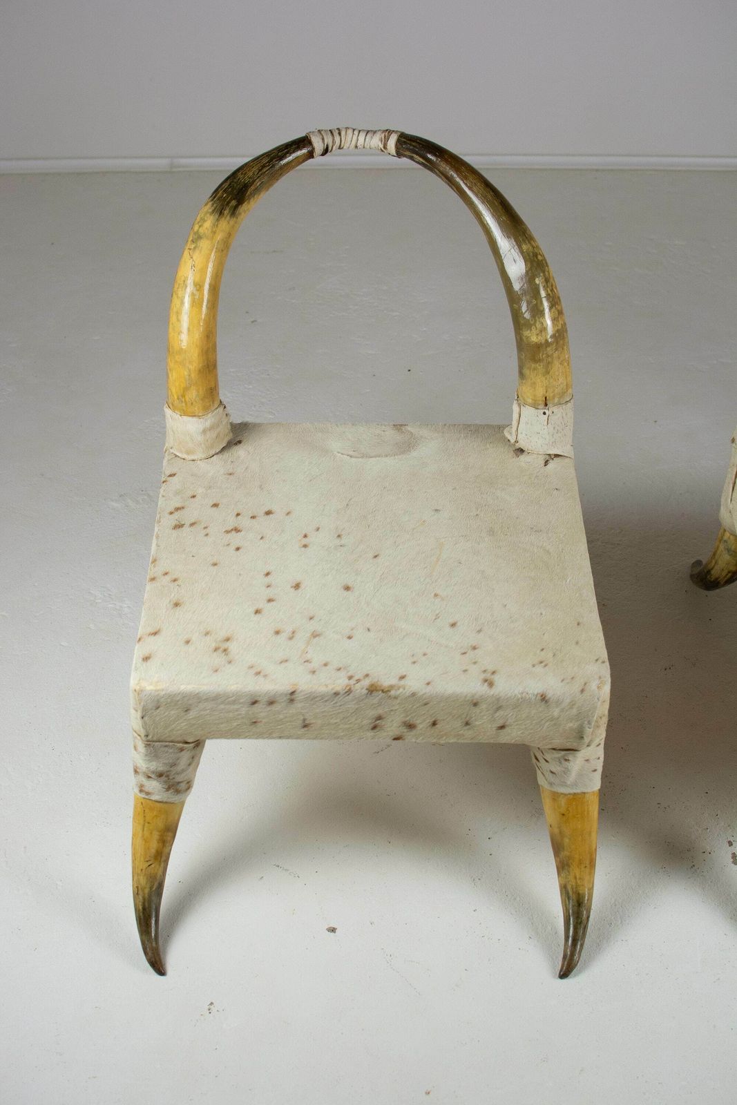 photo for sale Pair Of Vintage Steer Horn And Hide Side Chairs. Côte D'ivoire, West Africa