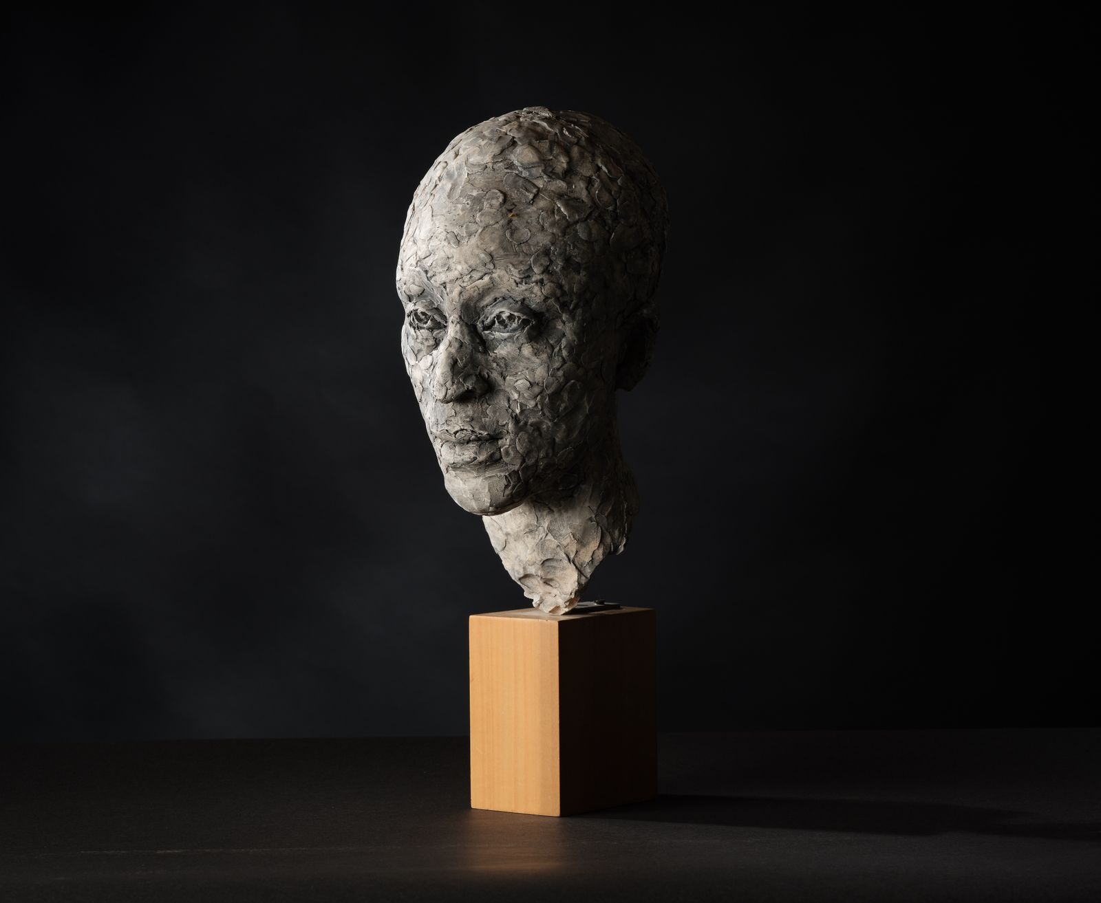 Stunning 'Patience Agbabi' Vintage Man Head Sculpture By Bryan Ellery, England Circa 1990's photo furniture