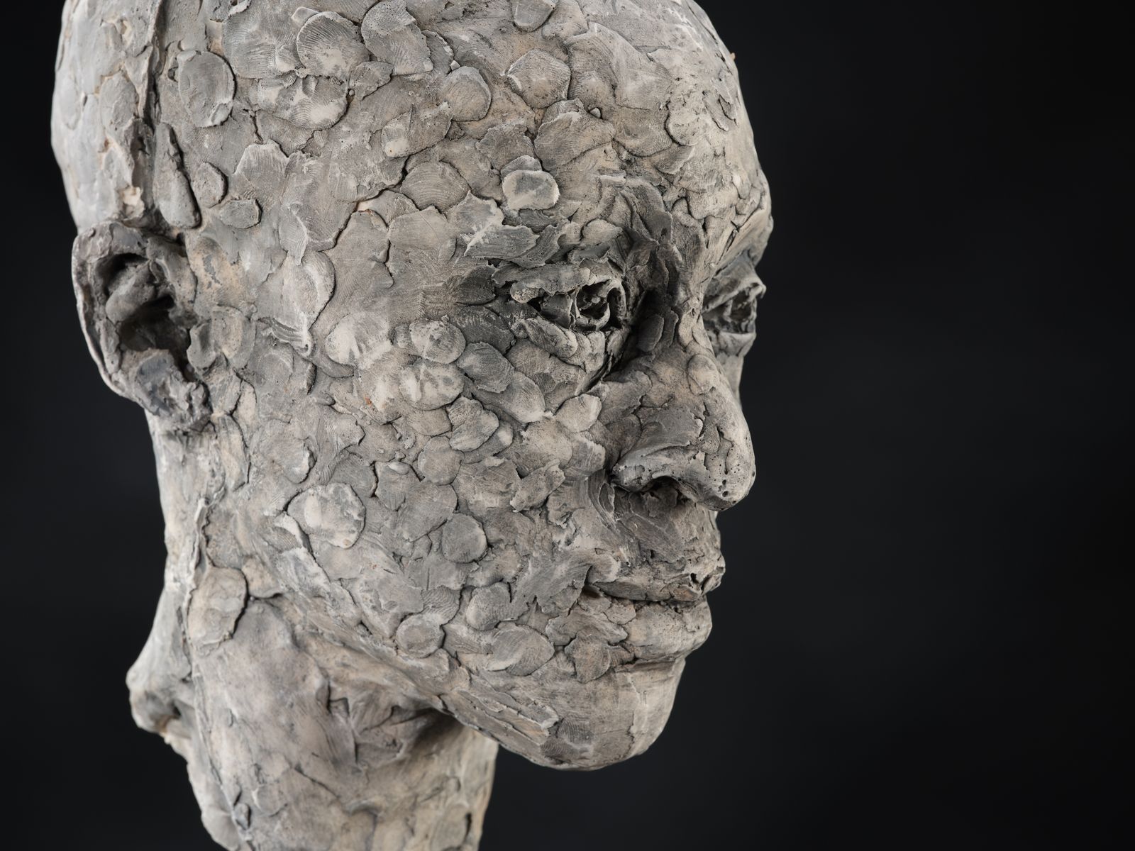 Stunning 'Patience Agbabi' Vintage Man Head Sculpture By Bryan Ellery, England Circa 1990's photo 2795.0