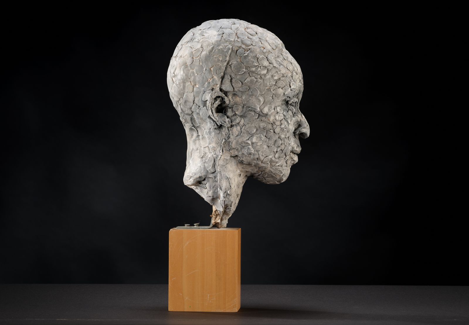 photo furniture Stunning 'Patience Agbabi' Vintage Man Head Sculpture By Bryan Ellery, England Circa 1990's