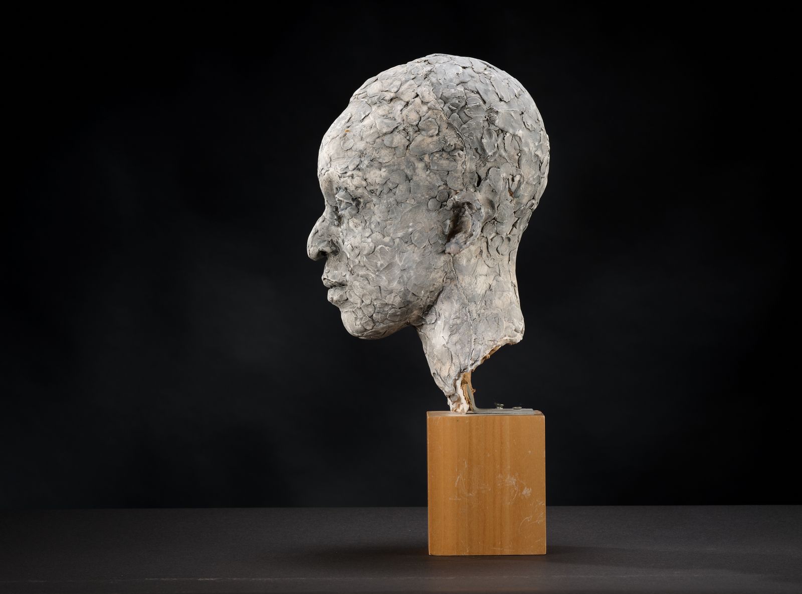 photo vinterior Stunning 'Patience Agbabi' Vintage Man Head Sculpture By Bryan Ellery, England Circa 1990's