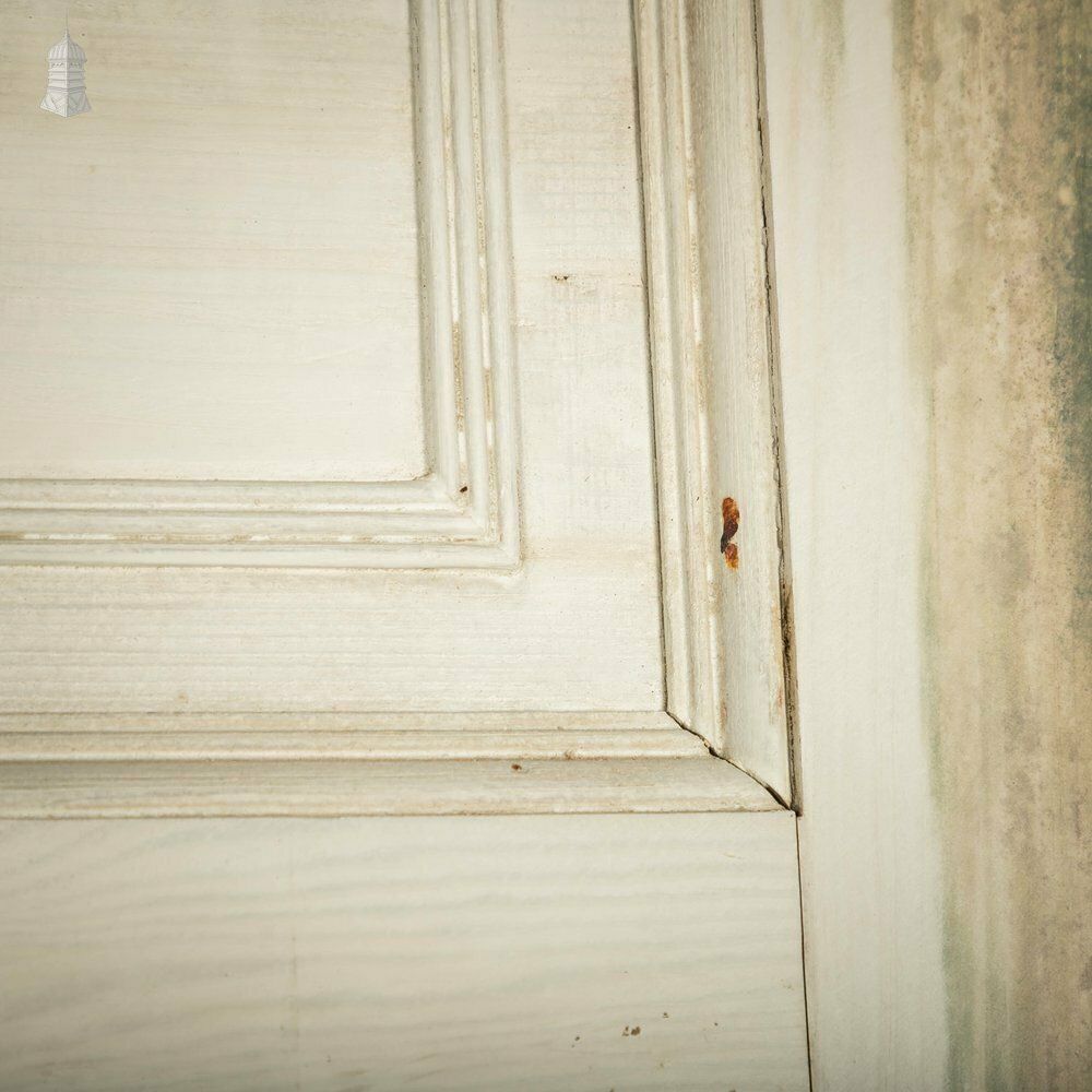 Pine Paneled Door, 6 Moulded Panel White Painted 20th C photo vinterior