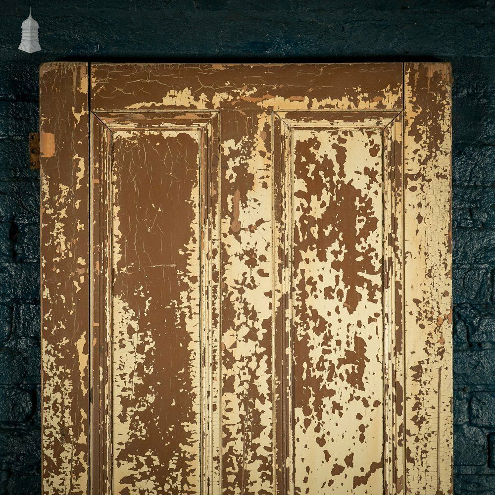 Pine Paneled Door, 4 Moulded Panel Distressed Paint photo for sale