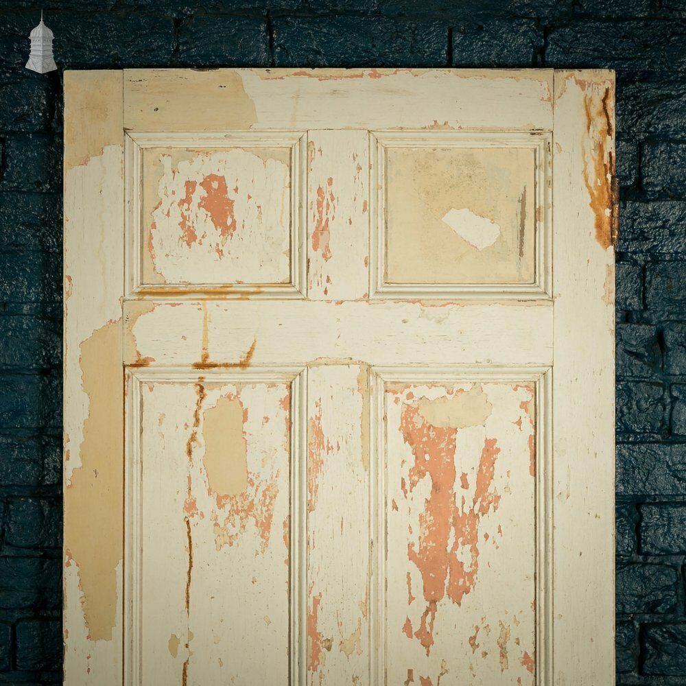 Pine Paneled Door, 6 Moulded Panel White Painted photo furniture