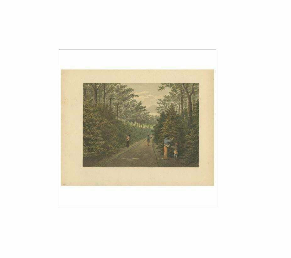 Antique Print Of Fruit Farming On Java By M.T.H. Perelaer, 1888 photo furniture
