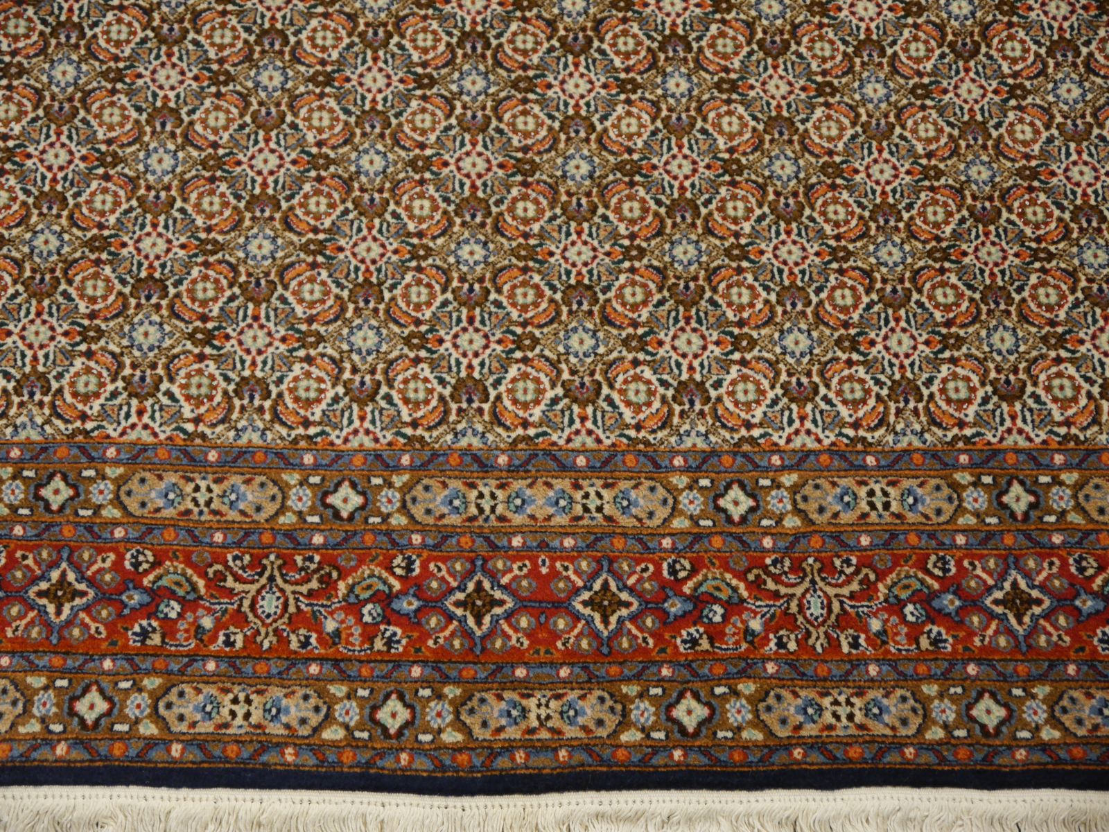 Textiles Amini Birdjand Rug 8.2 X 5.1 Ft / 250 X 155 Cm photo