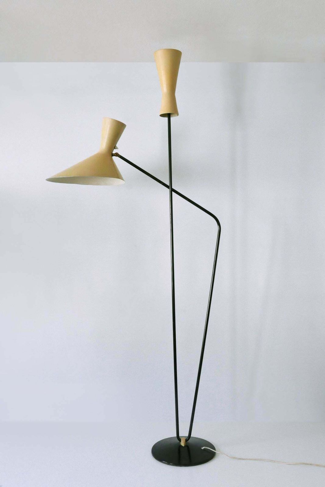Lighting Rare Iconic Mid Century Modern Floor Lamp By Prof. Carl Moor For Bag Turgi 1950s photo