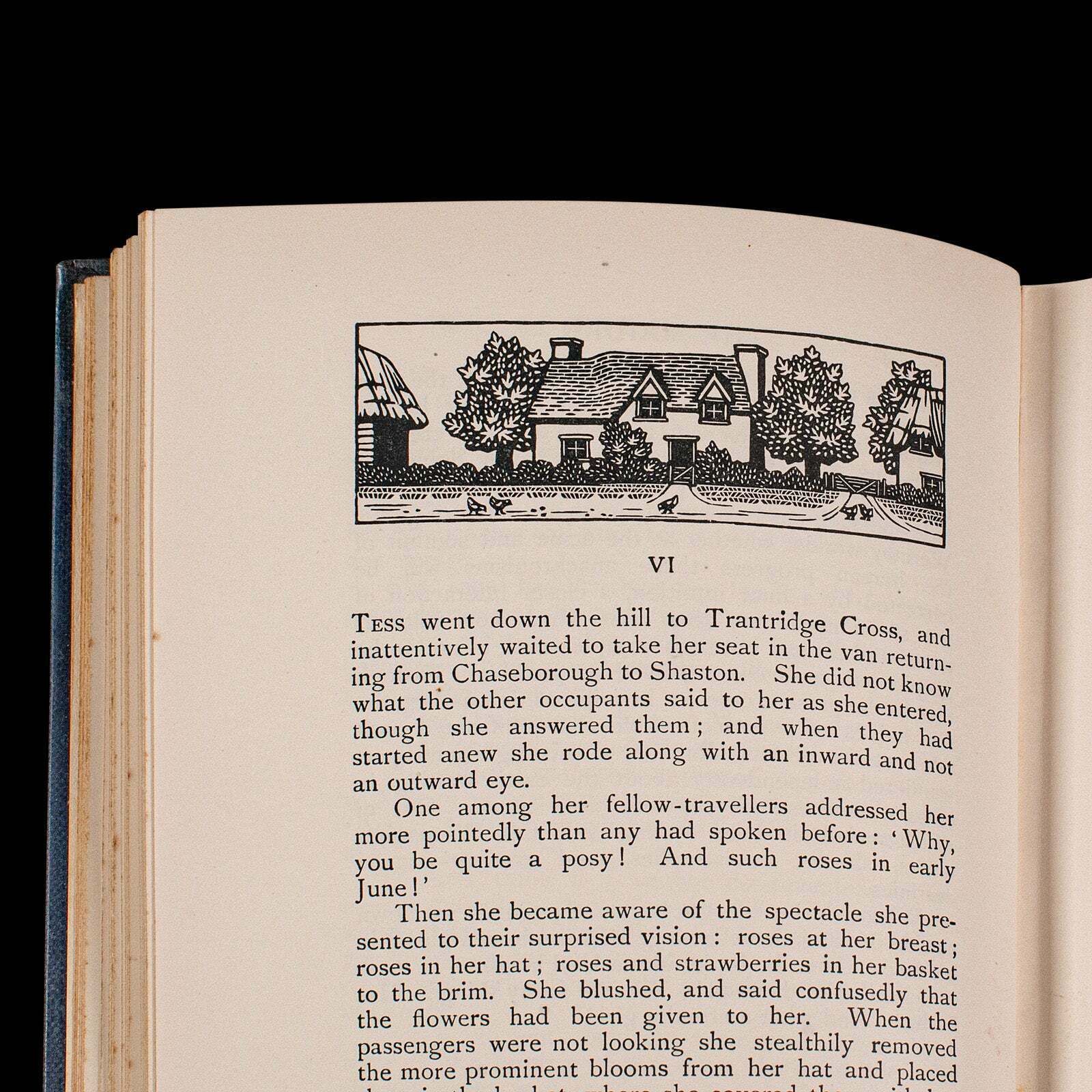 Vintage Book, Tess Of The D'urbervilles, Thomas Hardy, Limited Edition, Novel photo buy