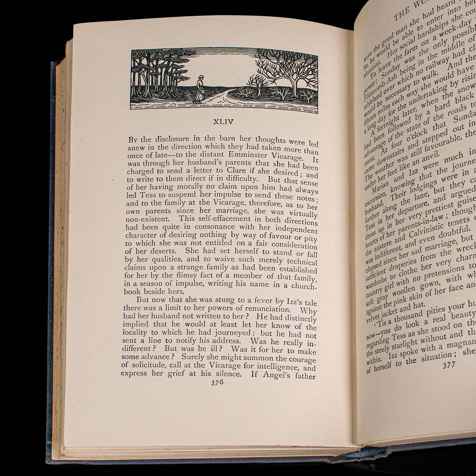 Home Decor Vintage Book, Tess Of The D'urbervilles, Thomas Hardy, Limited Edition, Novel photo