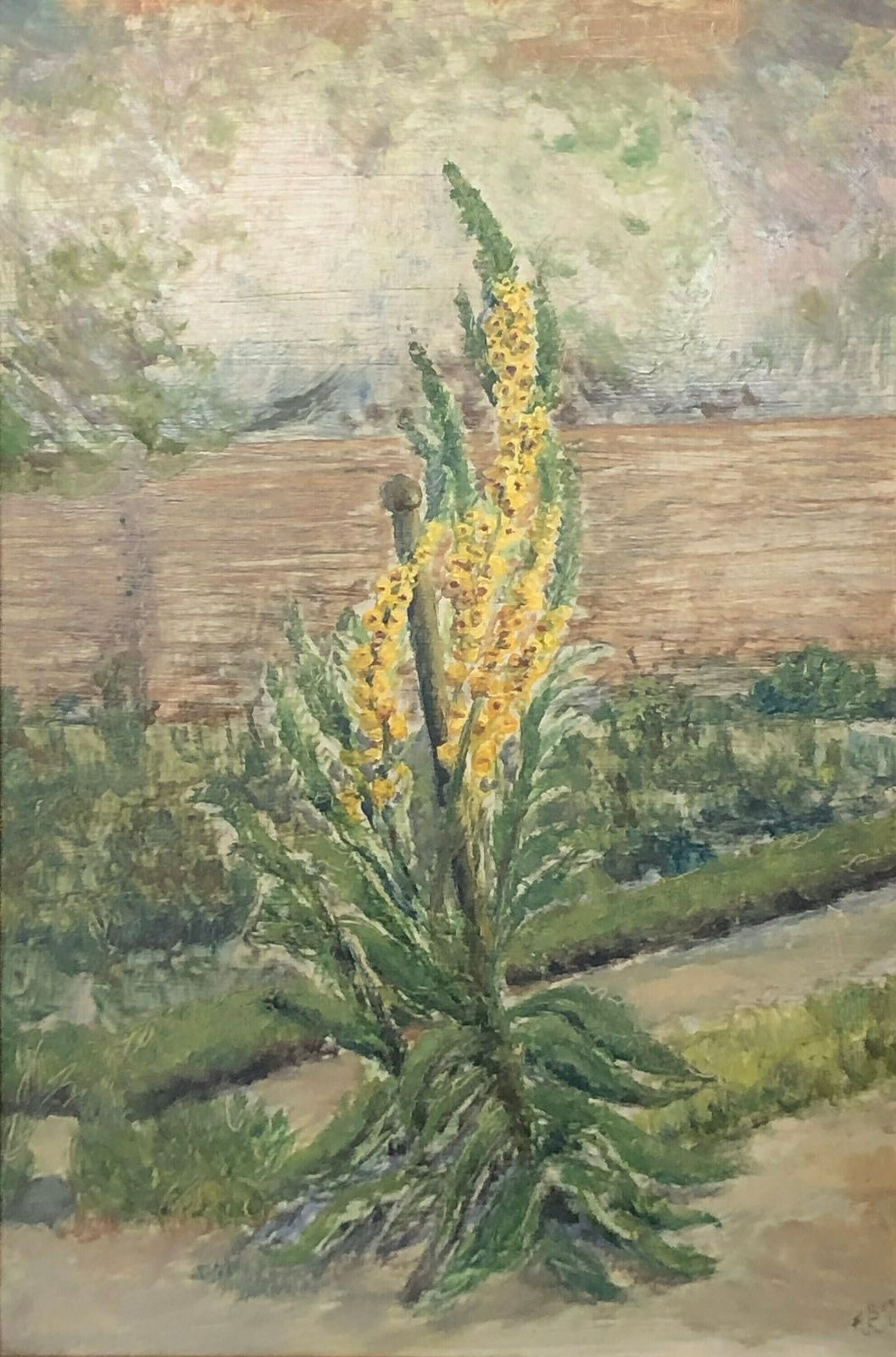 Danish Mid Century Oil Painting From 1961 Signed F.S.M. With Nature Motive Of Yellow Great Mullein photo furniture