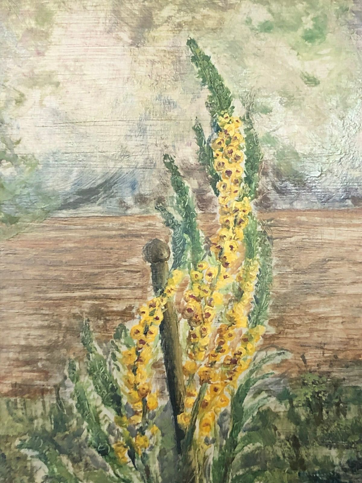 Danish Mid Century Oil Painting From 1961 Signed F.S.M. With Nature Motive Of Yellow Great Mullein photo 217.0