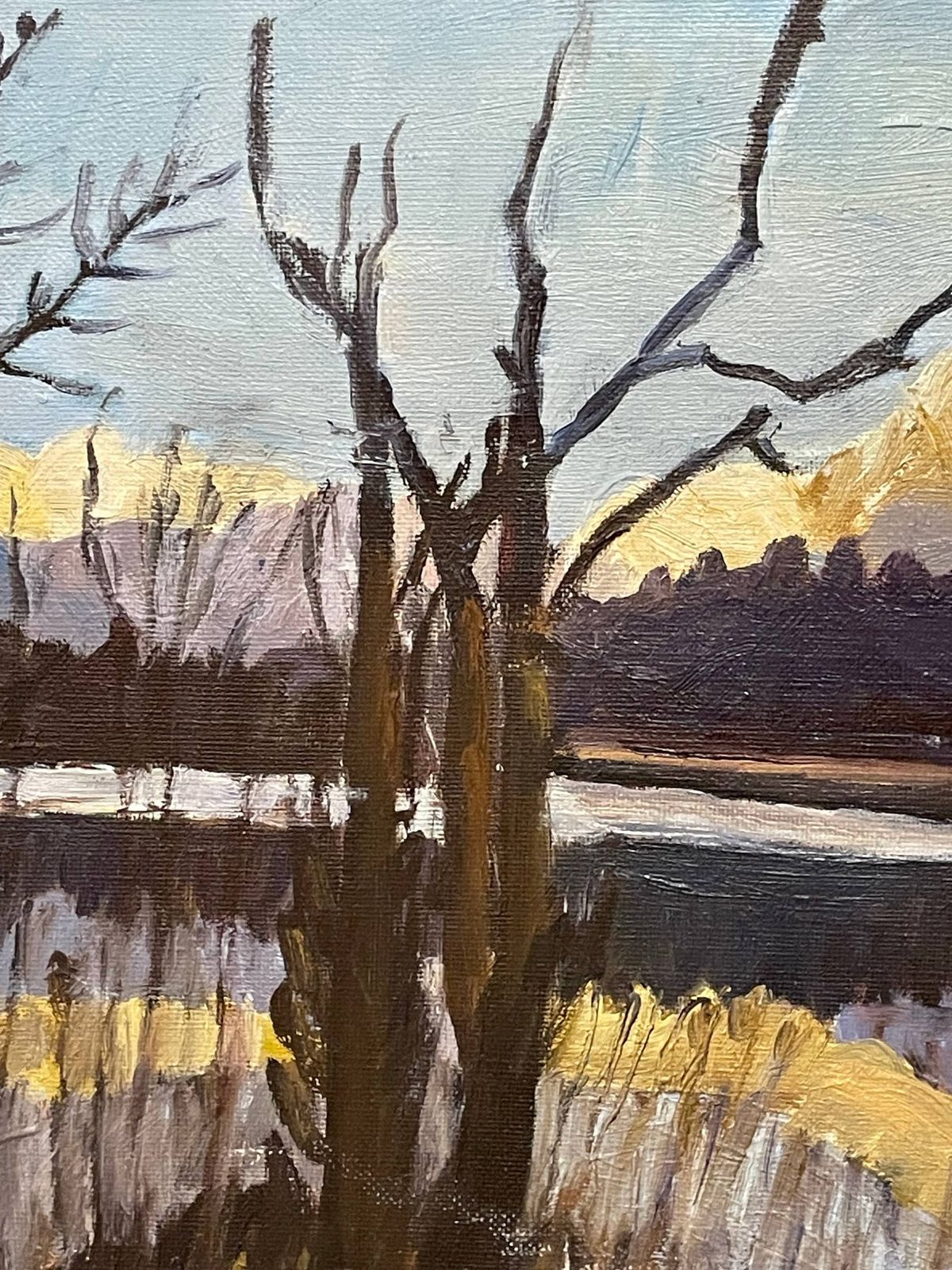 Vintage Danish Abstract Landscape Signed Oil Painting In Strong Colours With Lake And Mountains photo buy