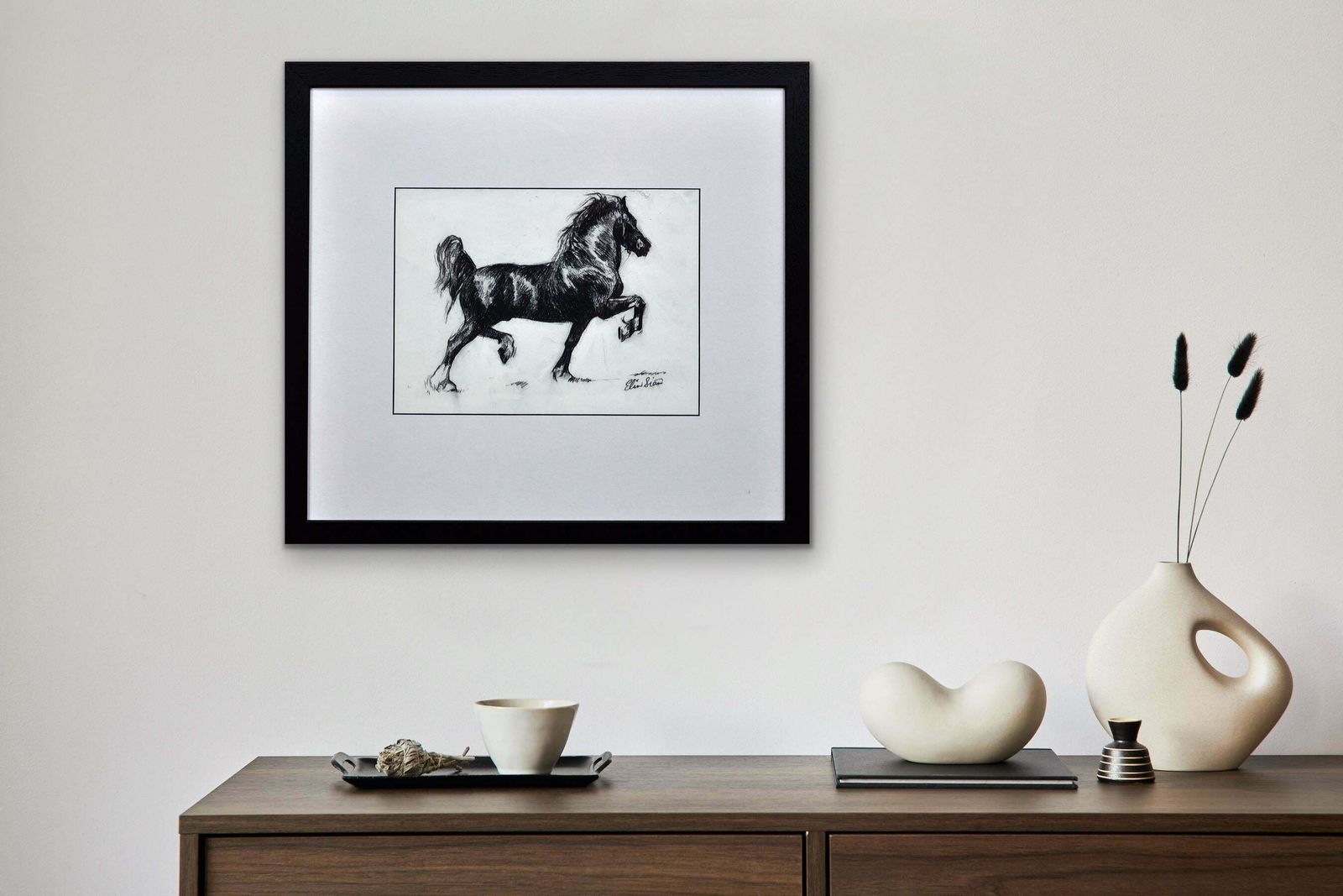 photo for sale Elin Sian Blake Black Welsh Cob. Wales Native Heritage Horse Breed Society.
