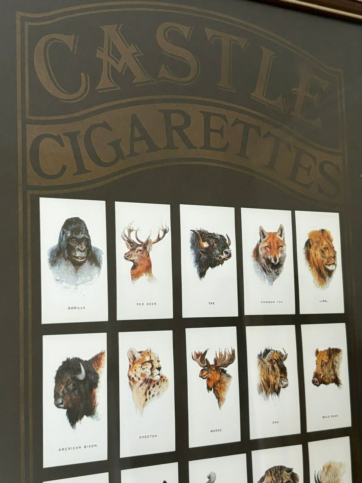 tobacco memorabilia collectors featuring clear photography and the highest quality reproduction COLLECTION OF MATCH BOXES and