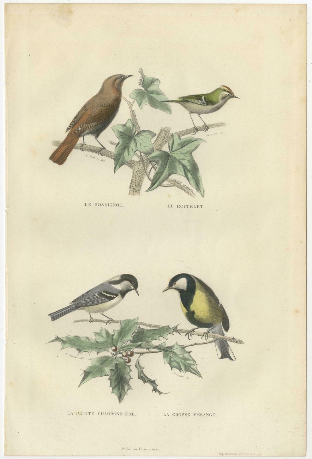 Set Of 2 Antique Bird Prints Rave, Western Jackdaw, Nightingale By Buffon photo for sale