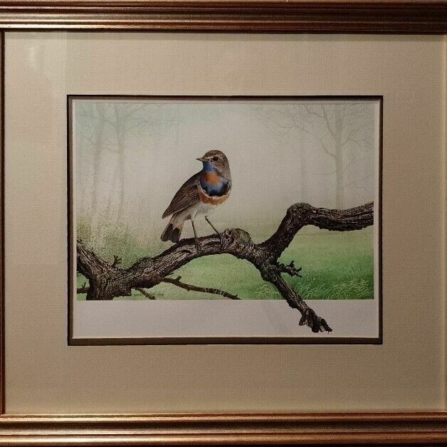 Ornithology Collection Of Signed Paintings By Chris Shields X 7 Framed Vary Size photo 999.0