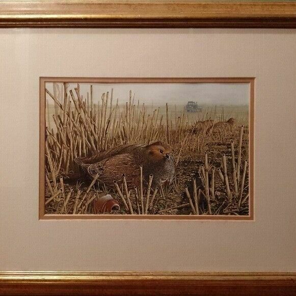 Ornithology Collection Of Signed Paintings By Chris Shields X 7 Framed Vary Size photo vinterior