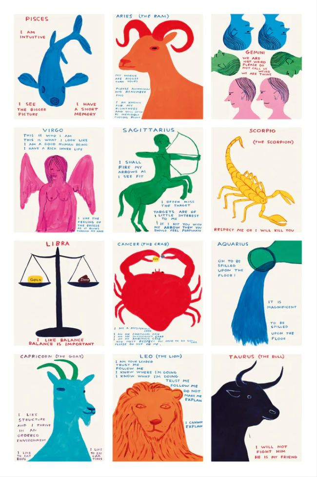 David Shrigley Signs Of The Zodiac
