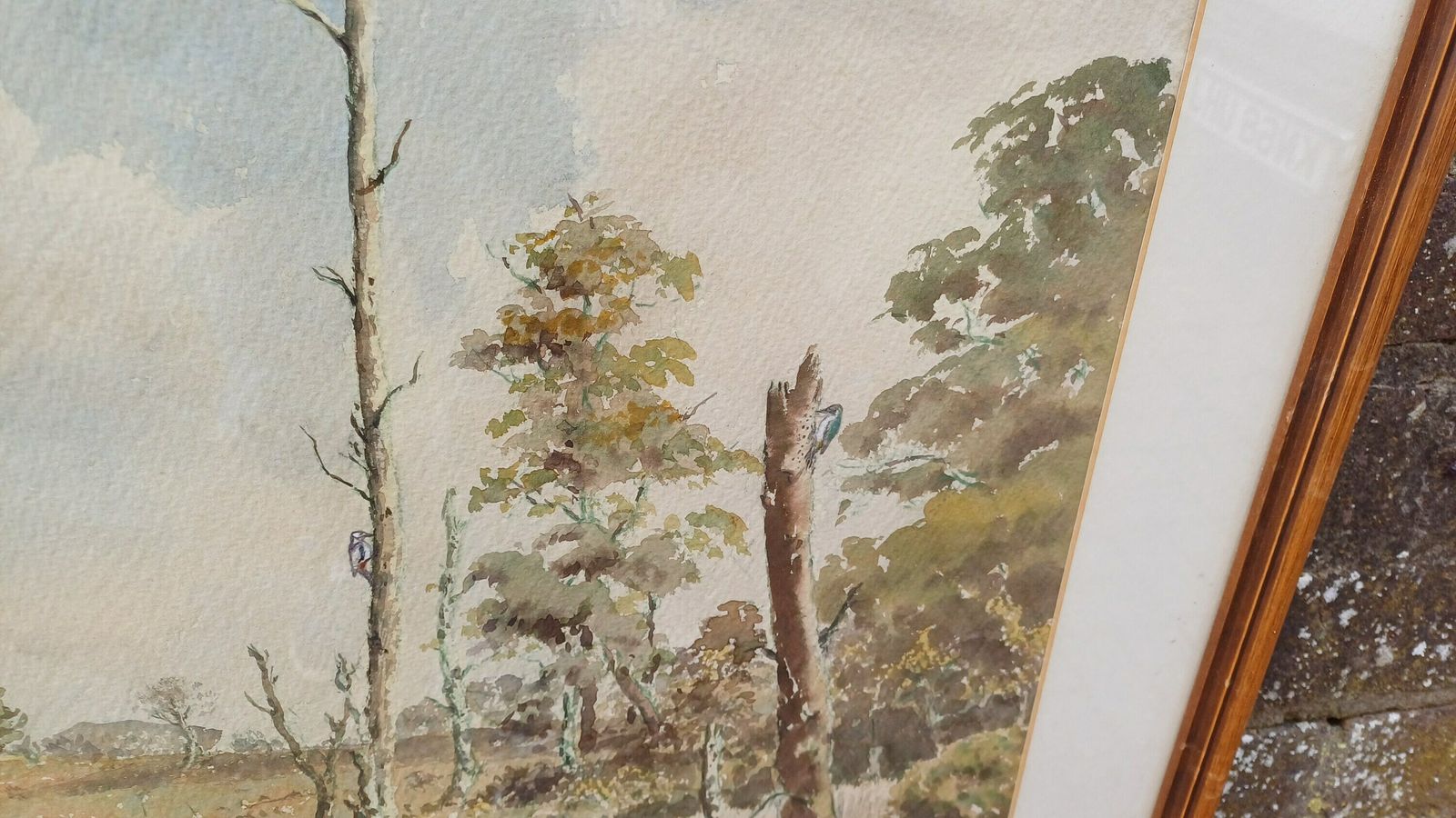 Large Original Vintage Watercolour Of A Country Scene, Woodland, Moorland, Forest   Ashdown Forest Possibly, Cuckoos, Mounted, Glazed Framed photo buy