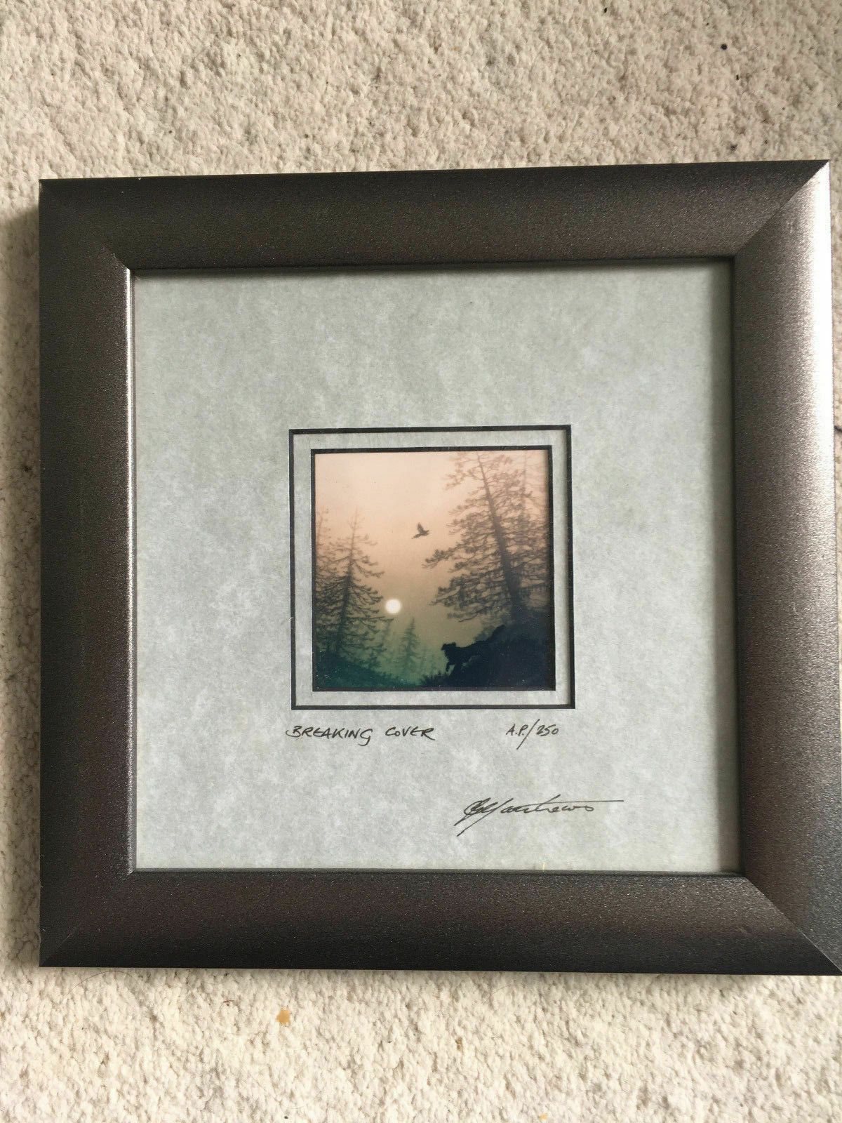 5 Framed Glyn Matthews Limited Edition Photo Graphic Prints photo for sale