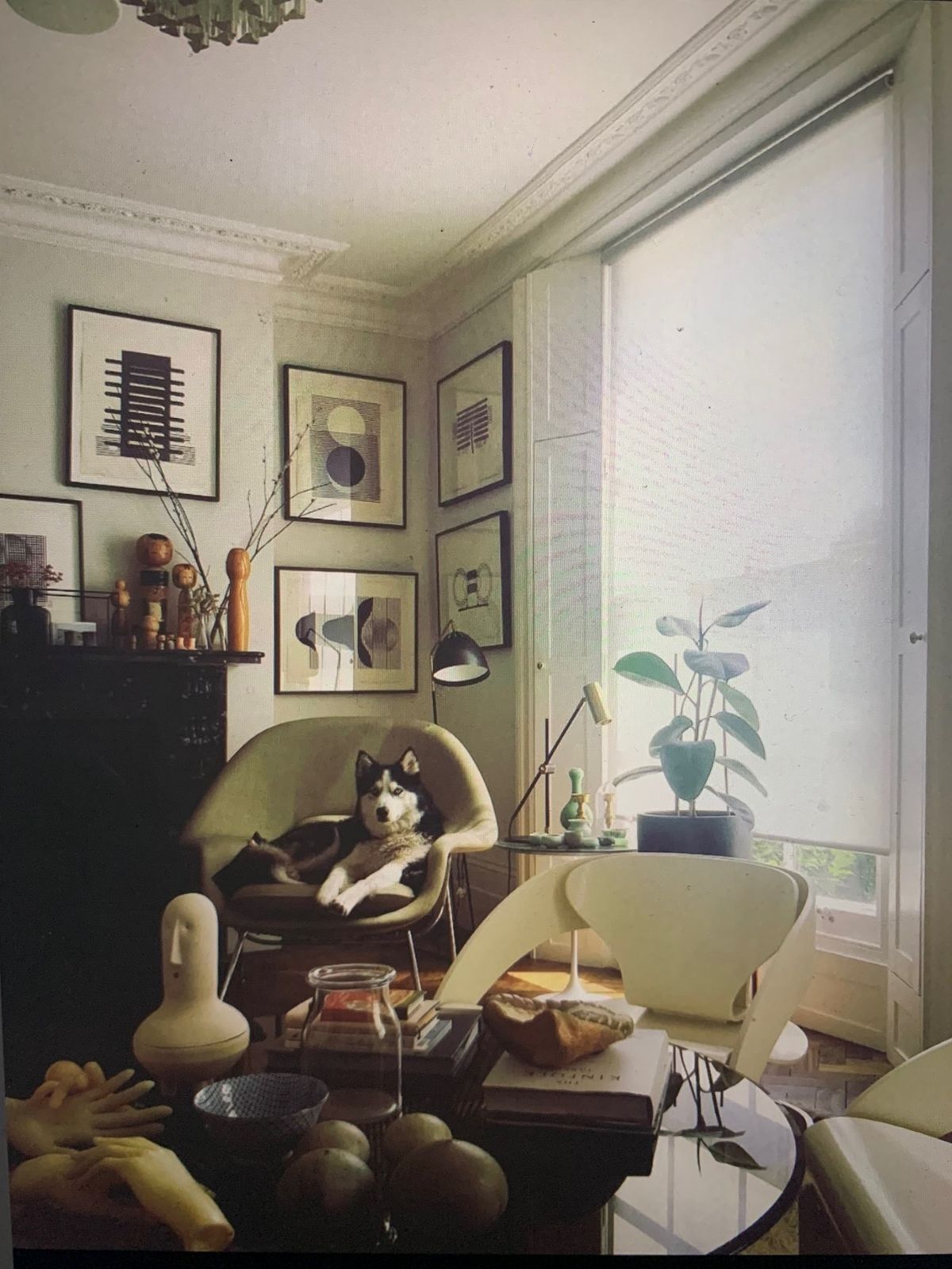 Mid Century. Model 4801 Plywood Pair Of Armchairs Available. Sold Separately. Listing For One Chair. By Joe Colombo, Italy, 1965 photo buy
