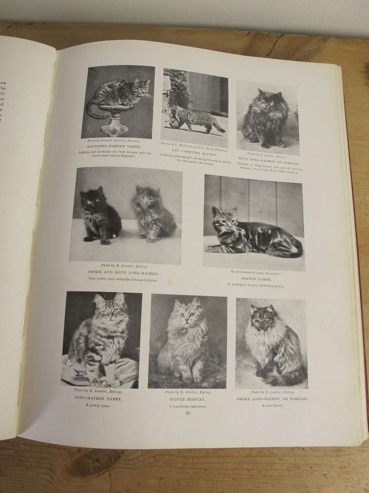 photo furniture The Living Animals Of The World   Volume 1   Mammals. Hutchinsons And Co. With 13 Colour Plates Along With 567 Illustrations